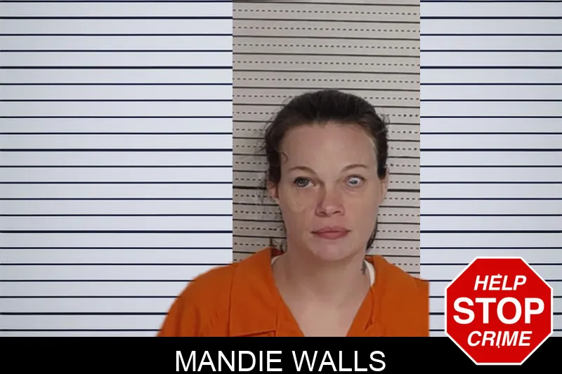 Mandie Walls mugshot