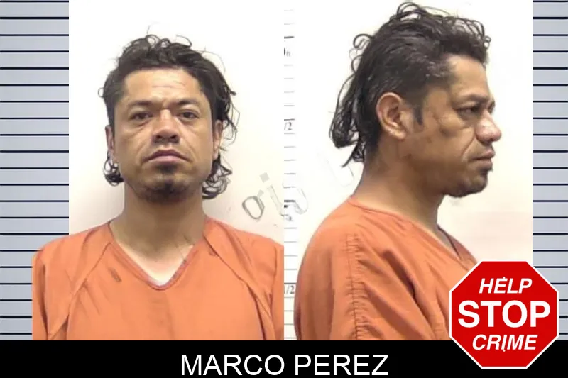 Marco Perez Mugshots