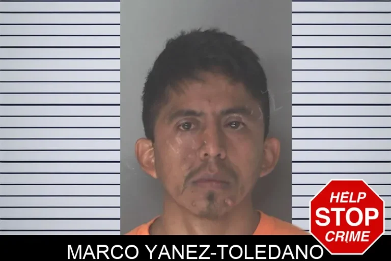 Marco Yanez-Toledano