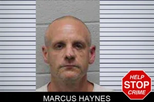 Marcus Haynes mugshot