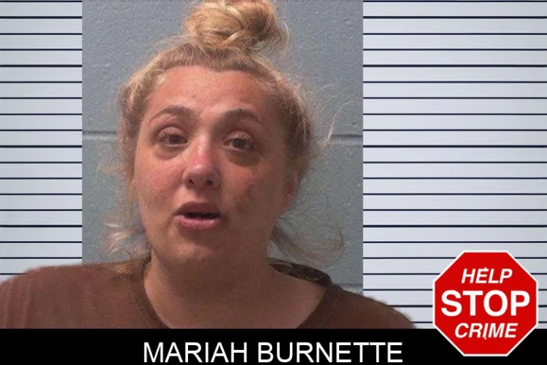 Mariah Burnette mugshot – Franklin County , Georgia Mariah Burnette