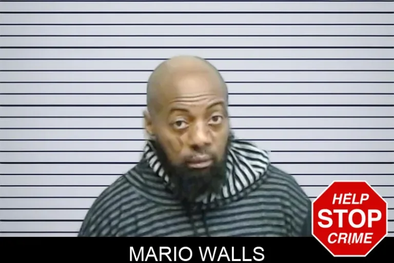 Mario Walls