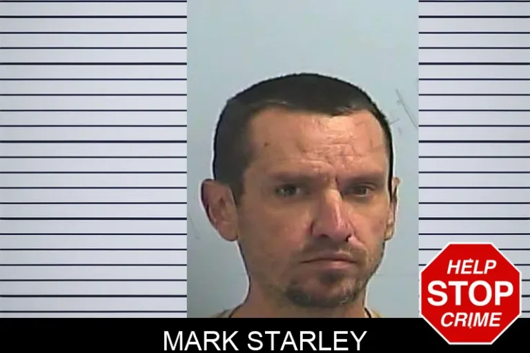 Mark Starley