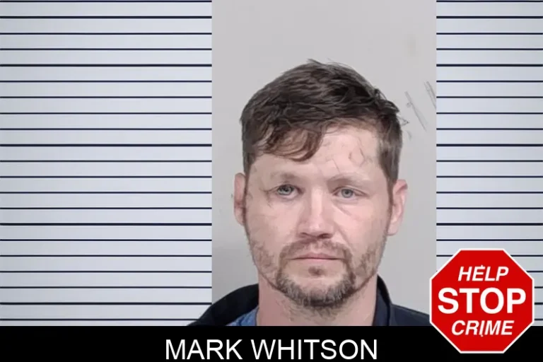 Mark Whitson mugshot – Lowndes County , Georgia Mark Whitson