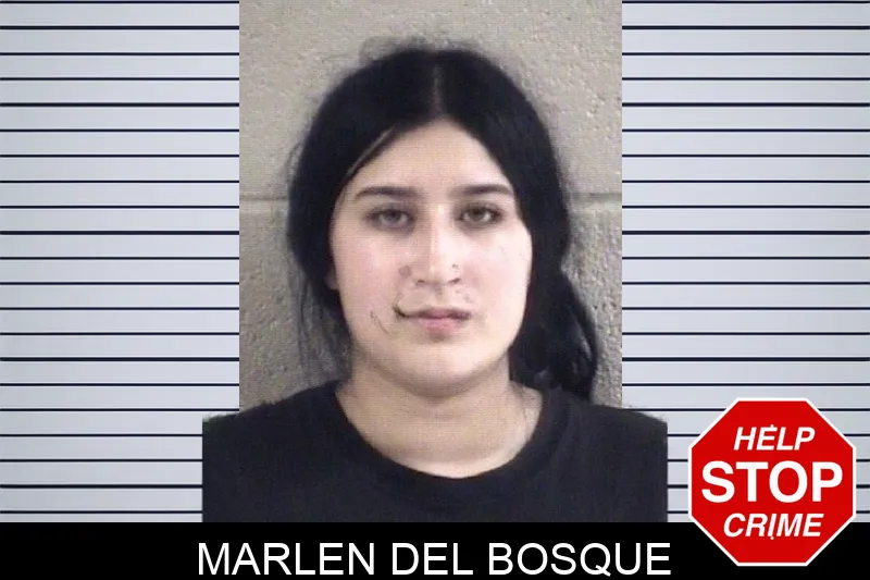 Marlen Del Bosque Mugshots