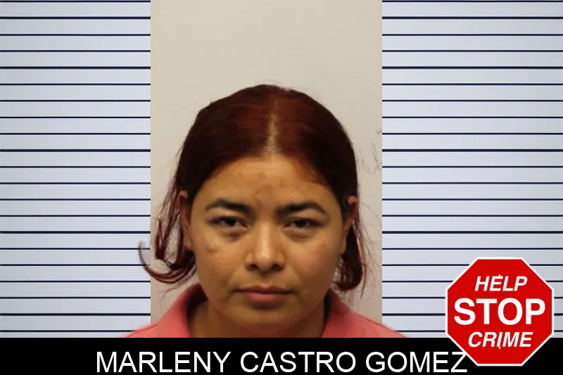 Marleny Castro Gomez Mugshots