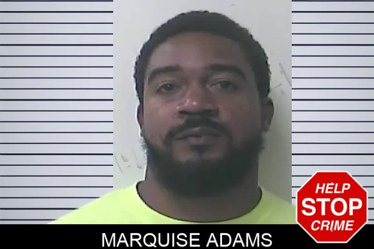 Marquise Adams
