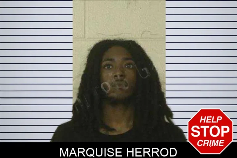 Marquise Herrod
