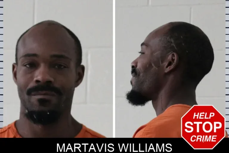 Martavis Williams