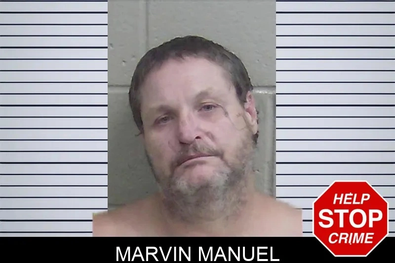 Marvin Manuel mugshot – Wayne County , Georgia Marvin Manuel mugshot