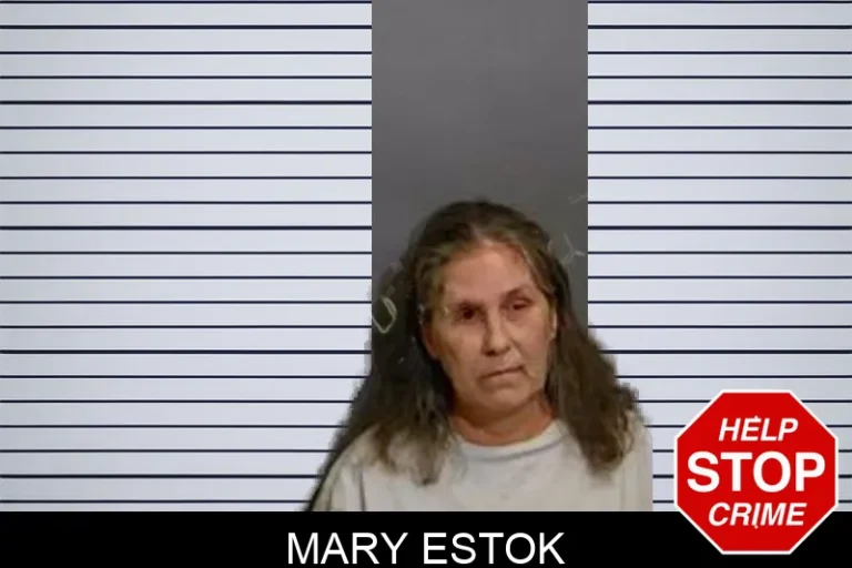 Mary Estok mugshot – Glynn County , Georgia Mary Estok