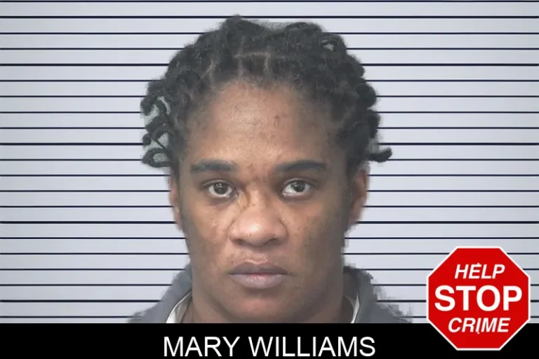 Mary Williams mugshot – Gwinnett County , Georgia Mary Williams