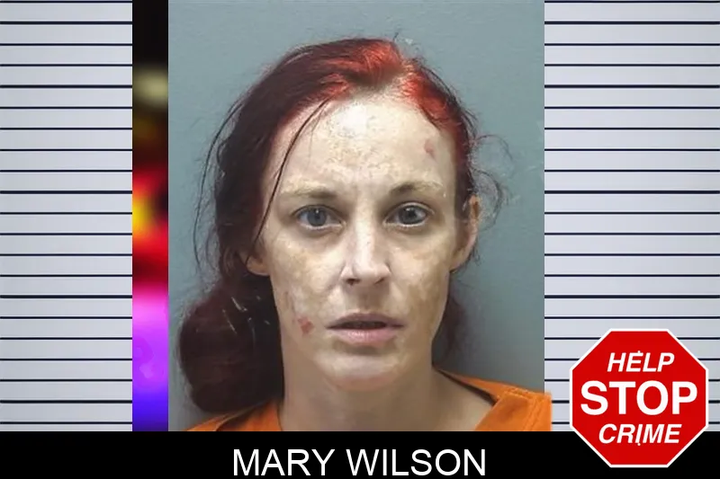 Mary Wilson Mugshots