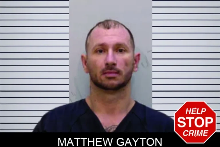 Matthew Gayton