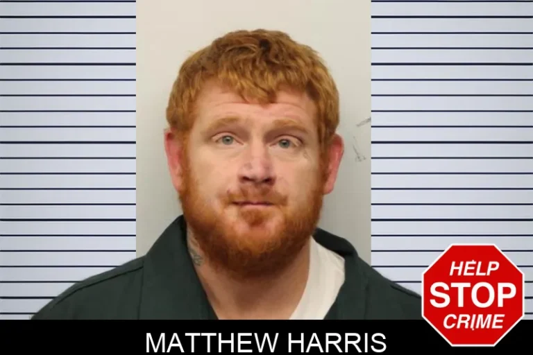 Matthew Harris