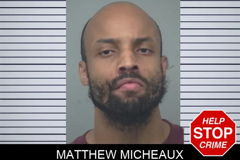 Matthew Micheaux mugshot – Gwinnett County , Georgia Matthew Micheaux