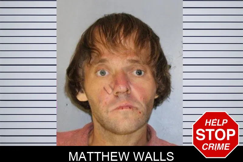Matthew Walls mugshot – Hall County , Georgia Matthew Walls mugshot