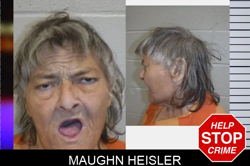Maughn Heisler mugshot