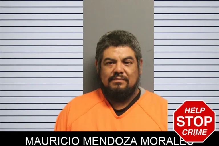 Mauricio Mendoza Morales