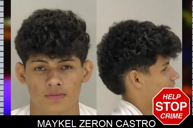Maykel Zeron Castro