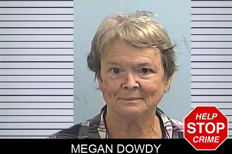 Megan Dowdy Mugshots