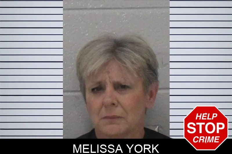 Melissa York Mugshots