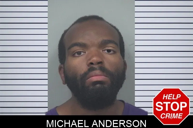 Michael Anderson Mugshots