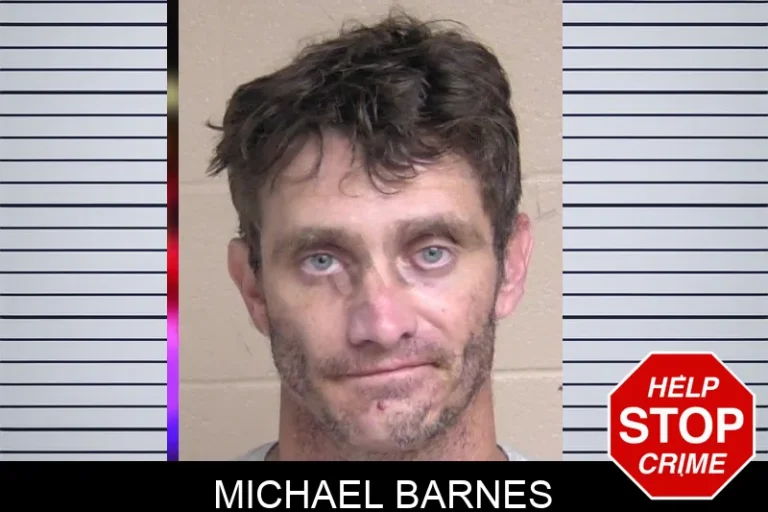 Michael Barnes