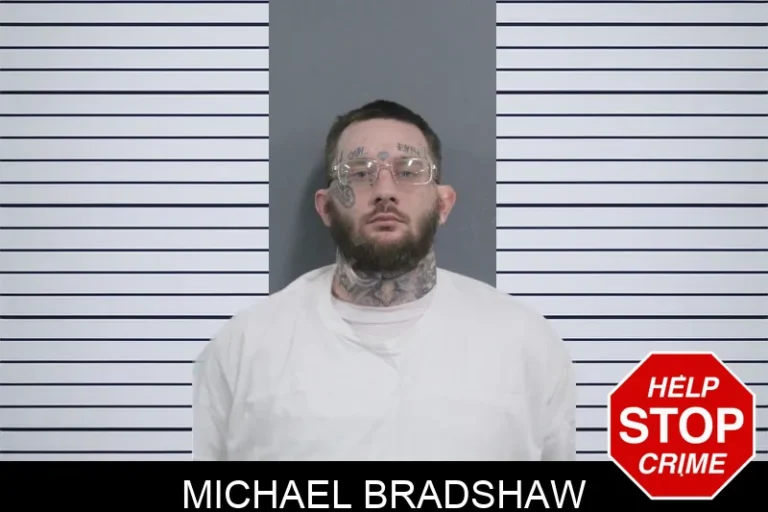 Michael Bradshaw