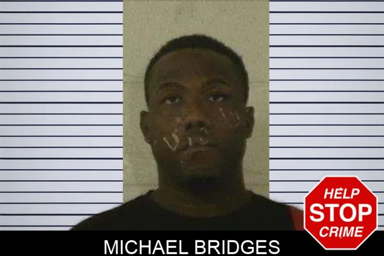 Michael Bridges