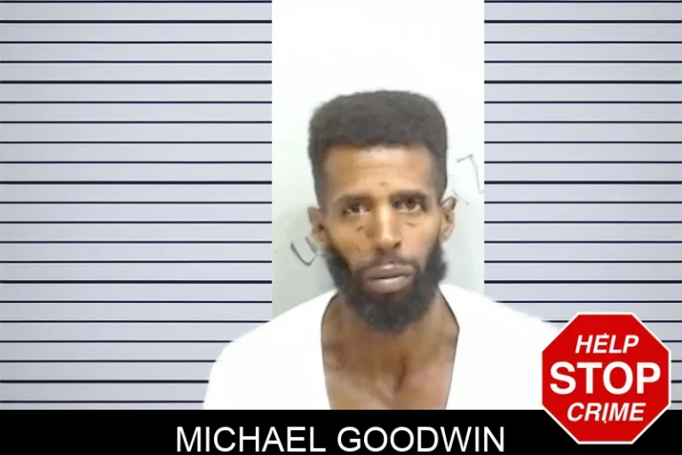 Michael Goodwin