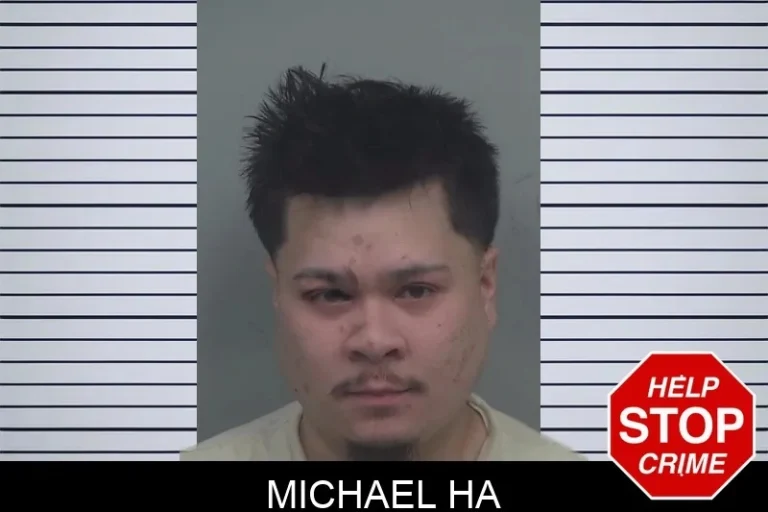 Michael Ha mugshot – Gwinnett County , Georgia Michael Ha
