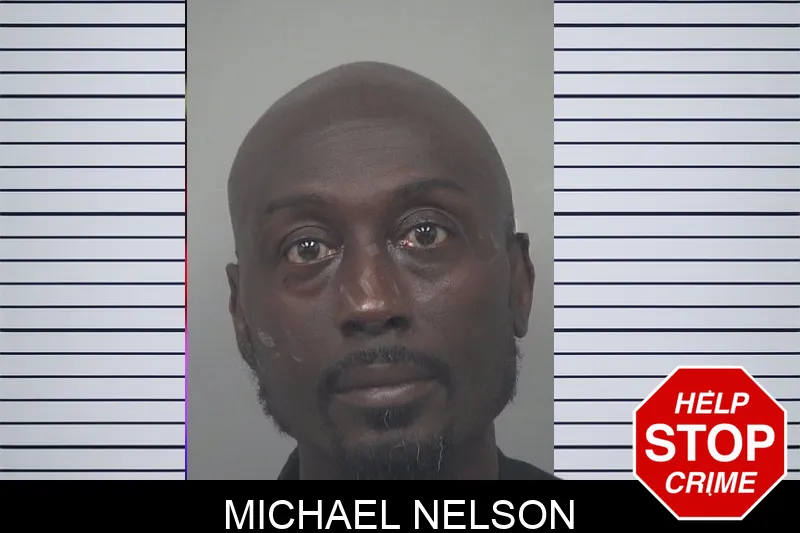 Michael Nelson Mugshots