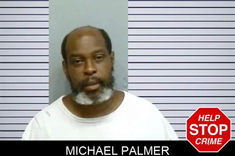 Michael Palmer