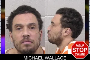 Michael Wallace mugshot