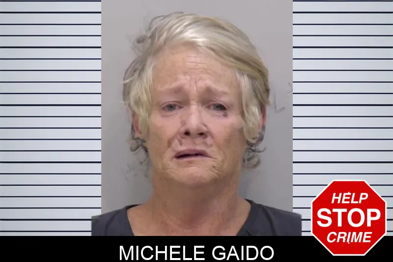Michele Gaido Mugshots