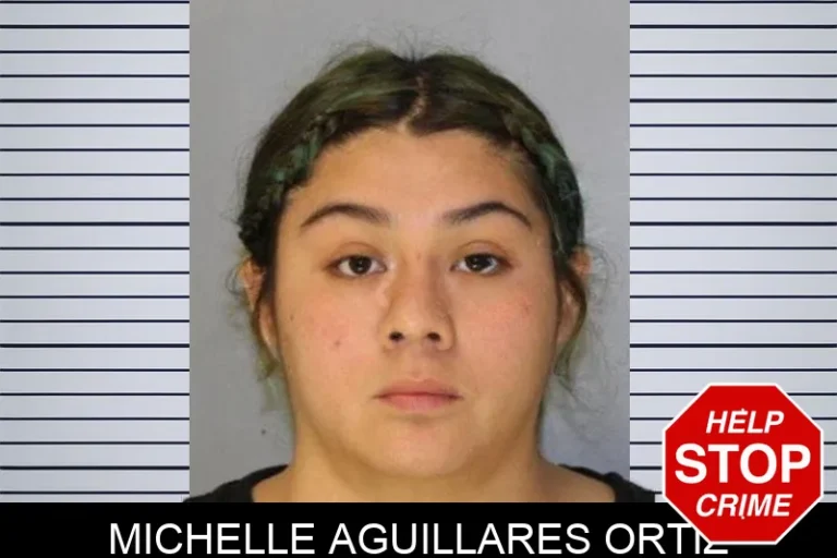 Michelle Aguillares Ortiz