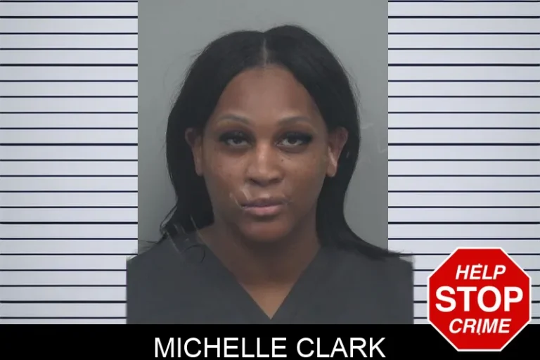 Michelle Clark mugshot – Gwinnett County , Georgia Michelle Clark