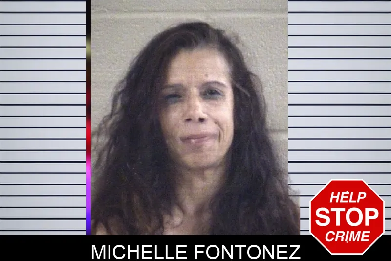 Michelle Fontonez mugshot