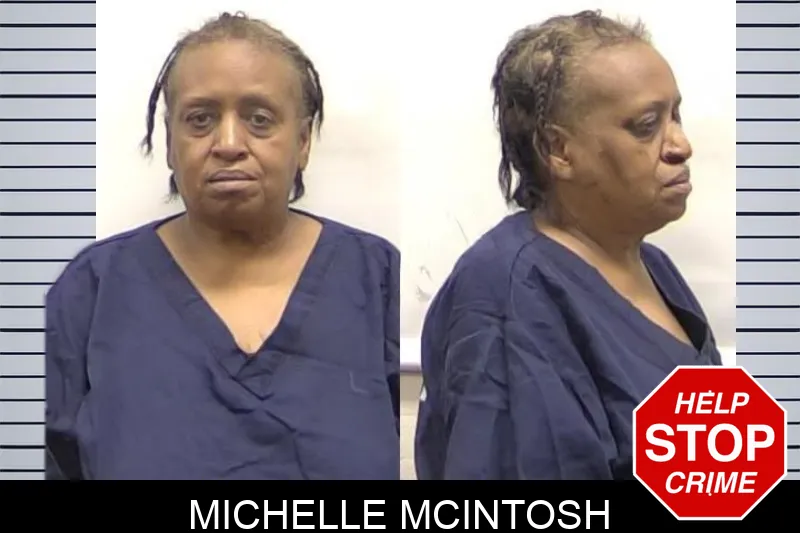 Michelle McIntosh Mugshots