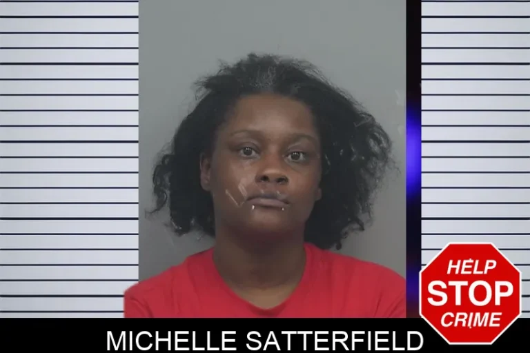 Michelle Satterfield mugshot – Gwinnett County , Georgia Michelle Satterfield