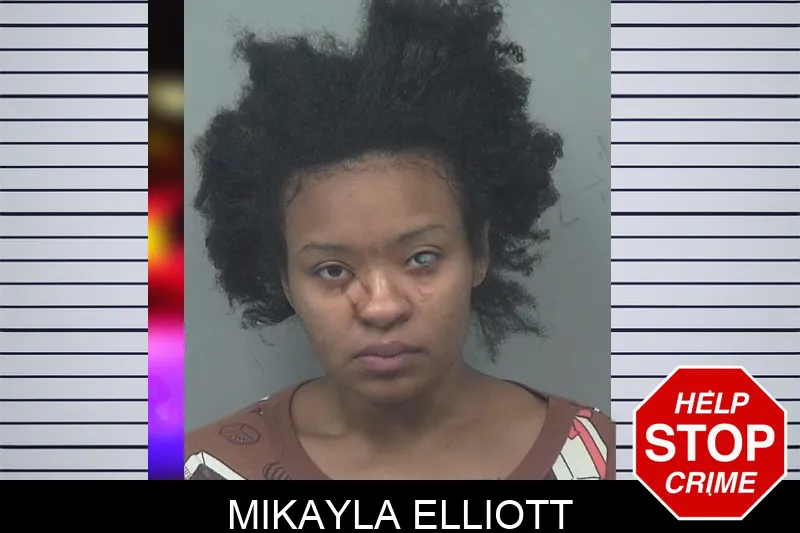 Mikayla Elliott mugshot