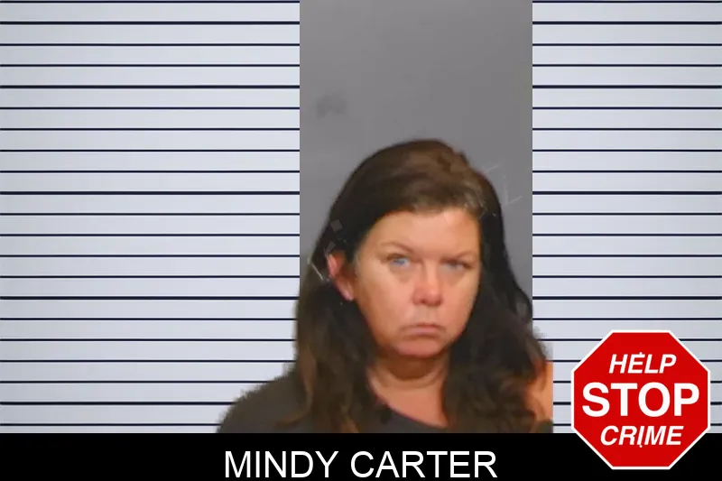 Mindy Carter Mugshots