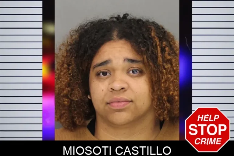 Miosoti Castillo mugshot – Cobb County , Georgia Miosoti Castillo