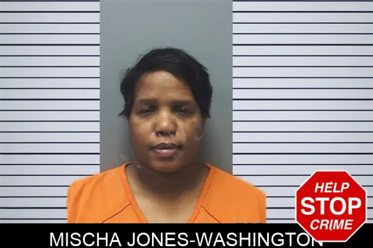 Mischa Jones-Washington mugshot – Cherokee County , Georgia Mischa Jones-Washington