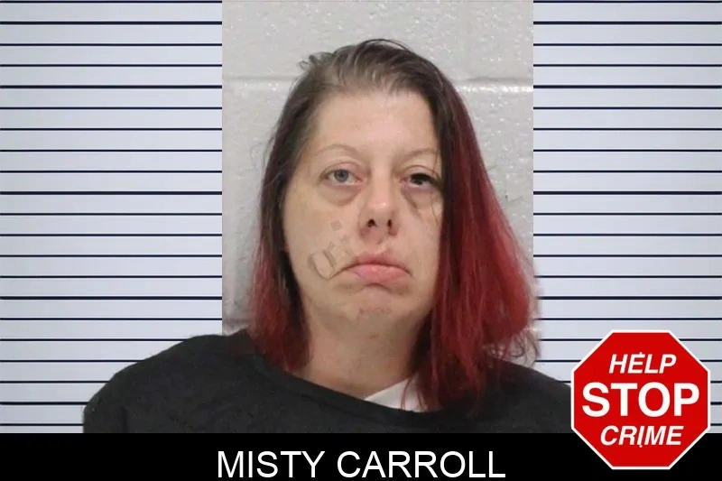 Misty Carroll Mugshots