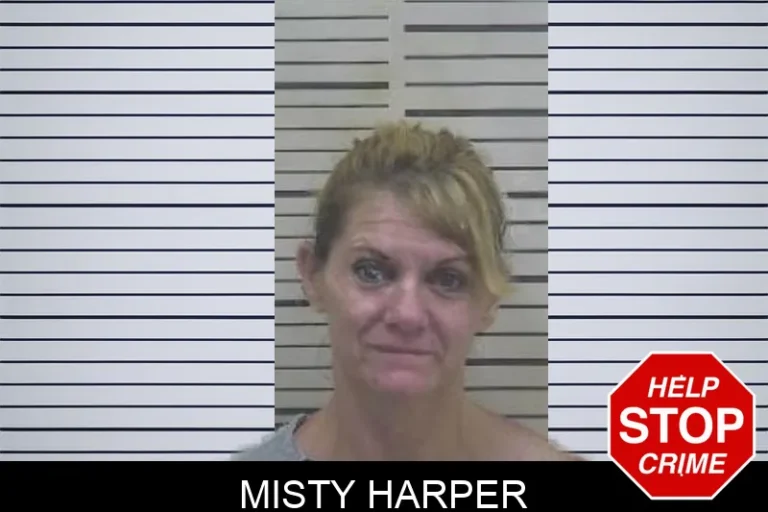 Misty Harper