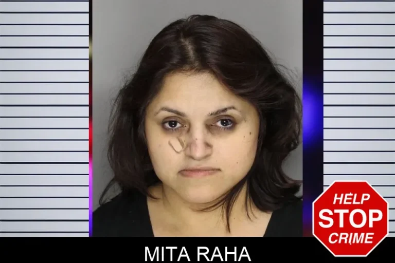 Mita Raha