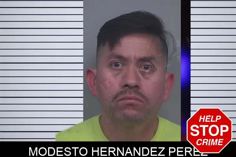 Modesto Hernandez Perez Mugshots