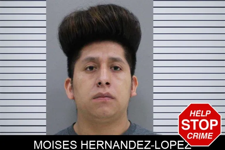 Moises Hernandez-Lopez
